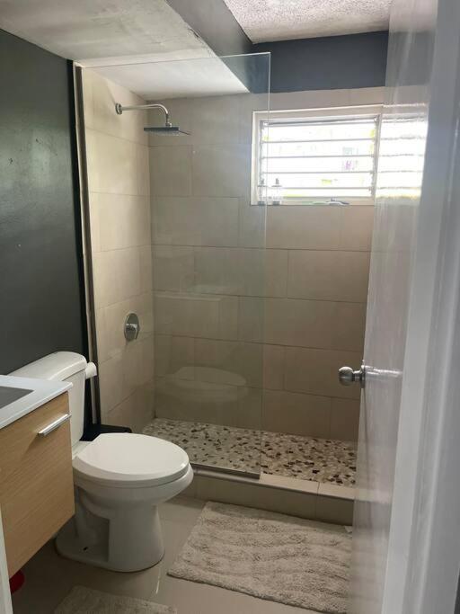 New Kingston Retreat Διαμέρισμα Εξωτερικό φωτογραφία